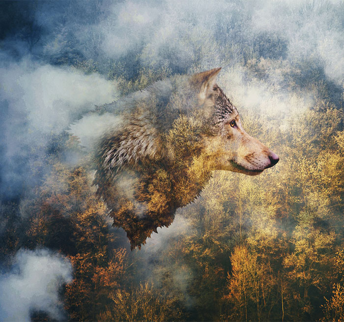 Close to the Body – Fifth Place