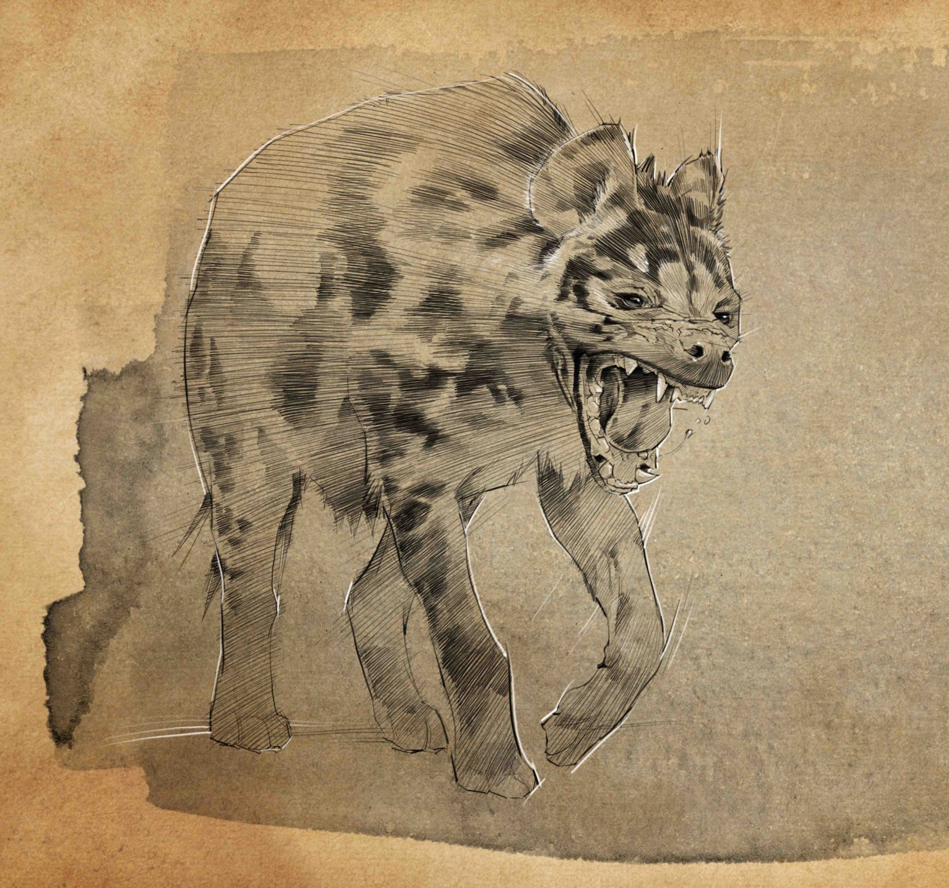 775 stry bg 2 scaled 1