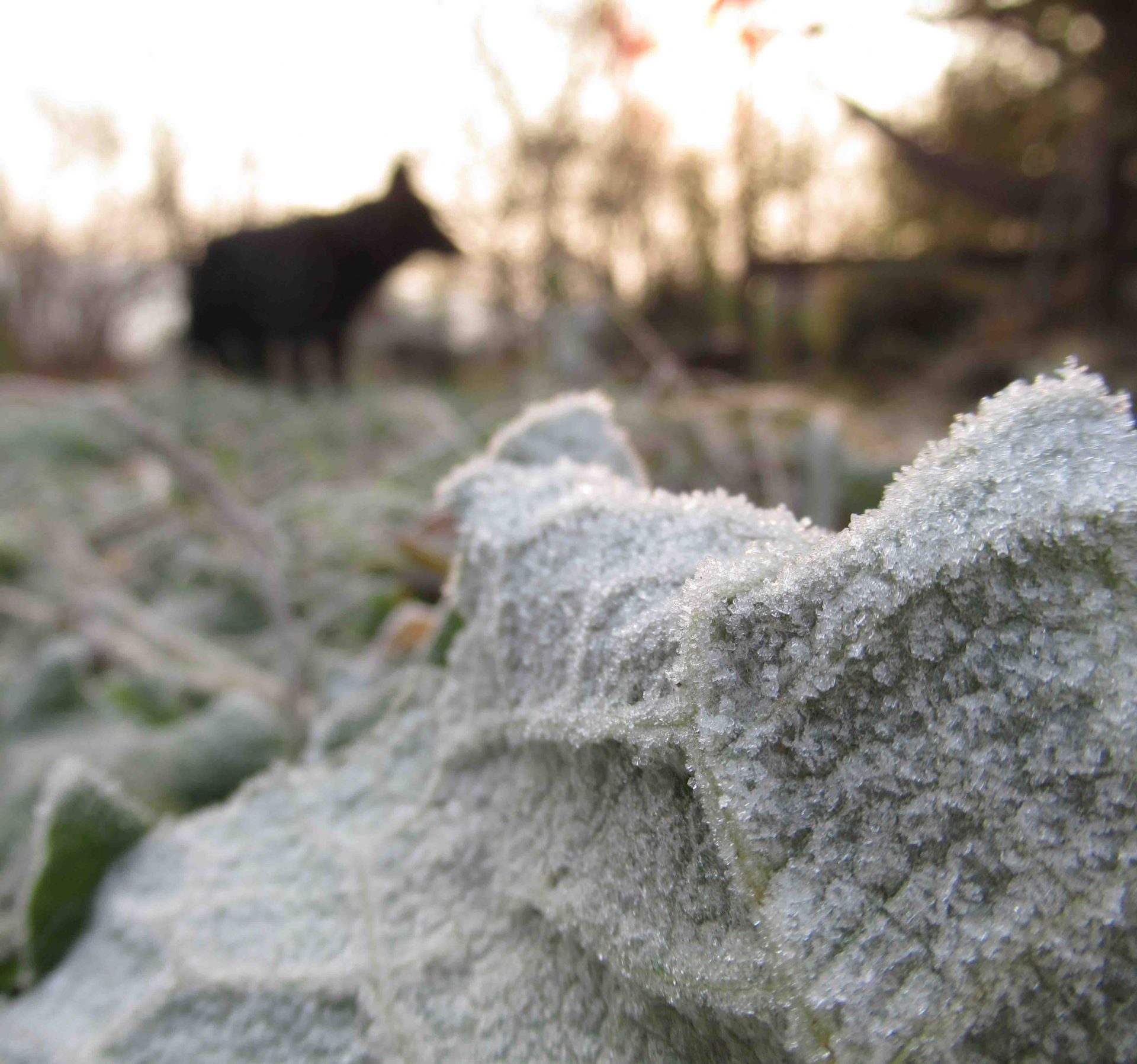 781 stry bg scaled 1