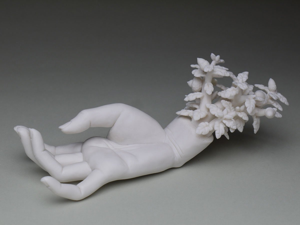 CMorey LushAnthesis 01