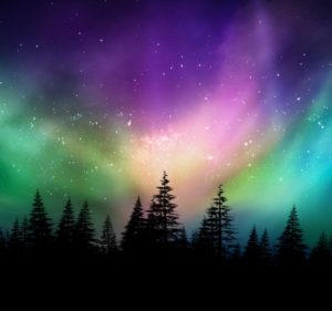 Northern Exposure - 4 Stories 1