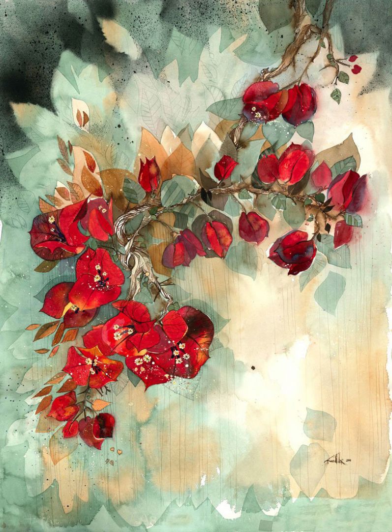 Rachel Walker 2011 Bougainvillea