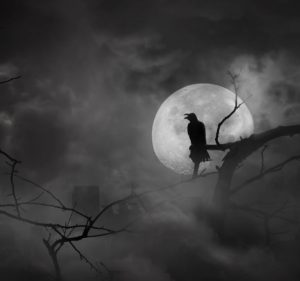 Sleep No More: 5 Bone-Chilling Stories 1