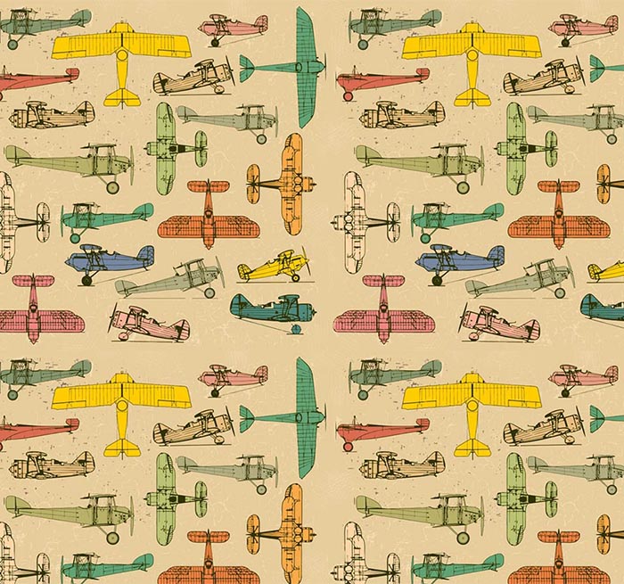 The Notheast Kingdom bg 1