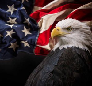 Great Again: 3 American Classic Stories 1