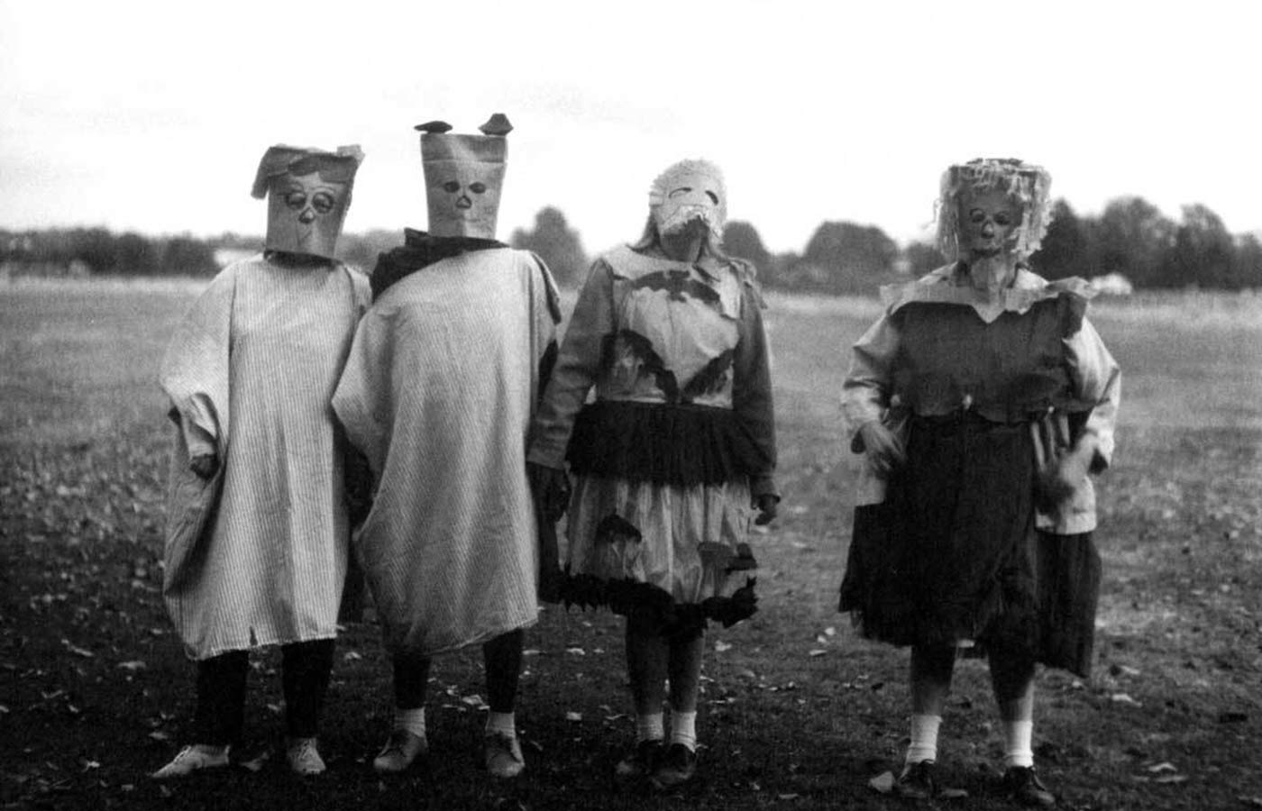 The Decapitated Chicken