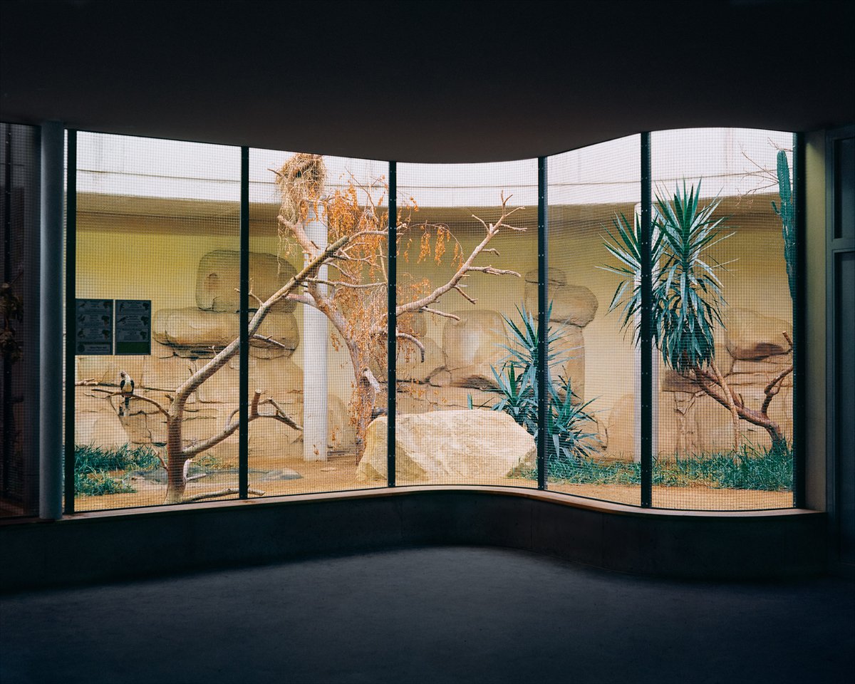 emptyzoorooms5 900x720 1