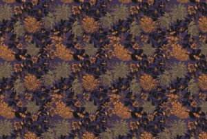 ניחוח כריזנטמות