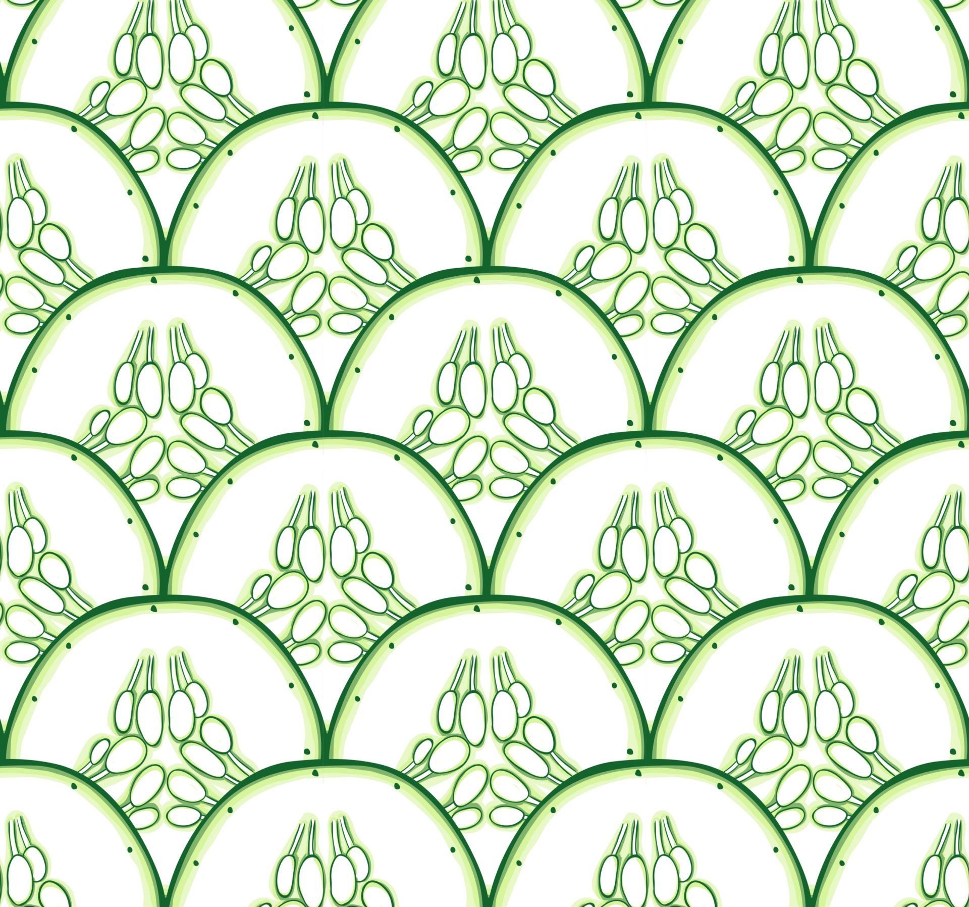 stray471 bg 2 scaled 1