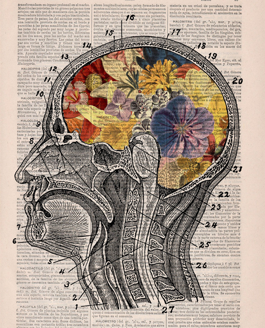 3 Mad Scientists Stories 2