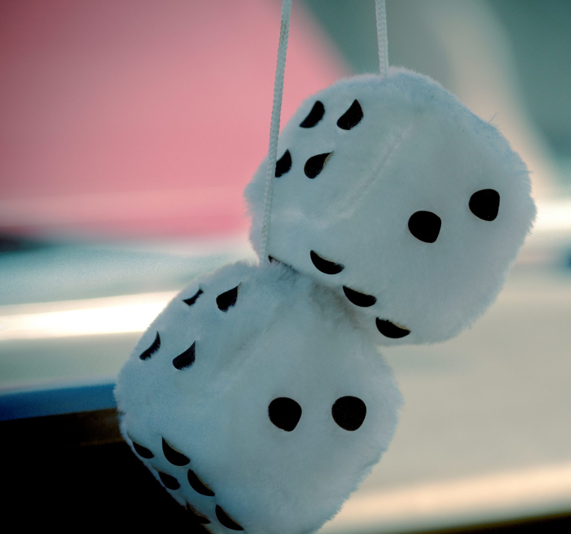 stray484 bg scaled 1