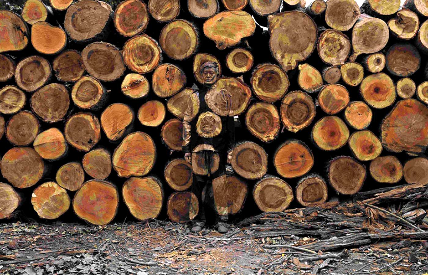 האשליה הגדולה באולם הקהילתי הסמוך לנגריית ״קְלינגֶנרַייטֶר עבודות עץ, יבוא-יצוא״