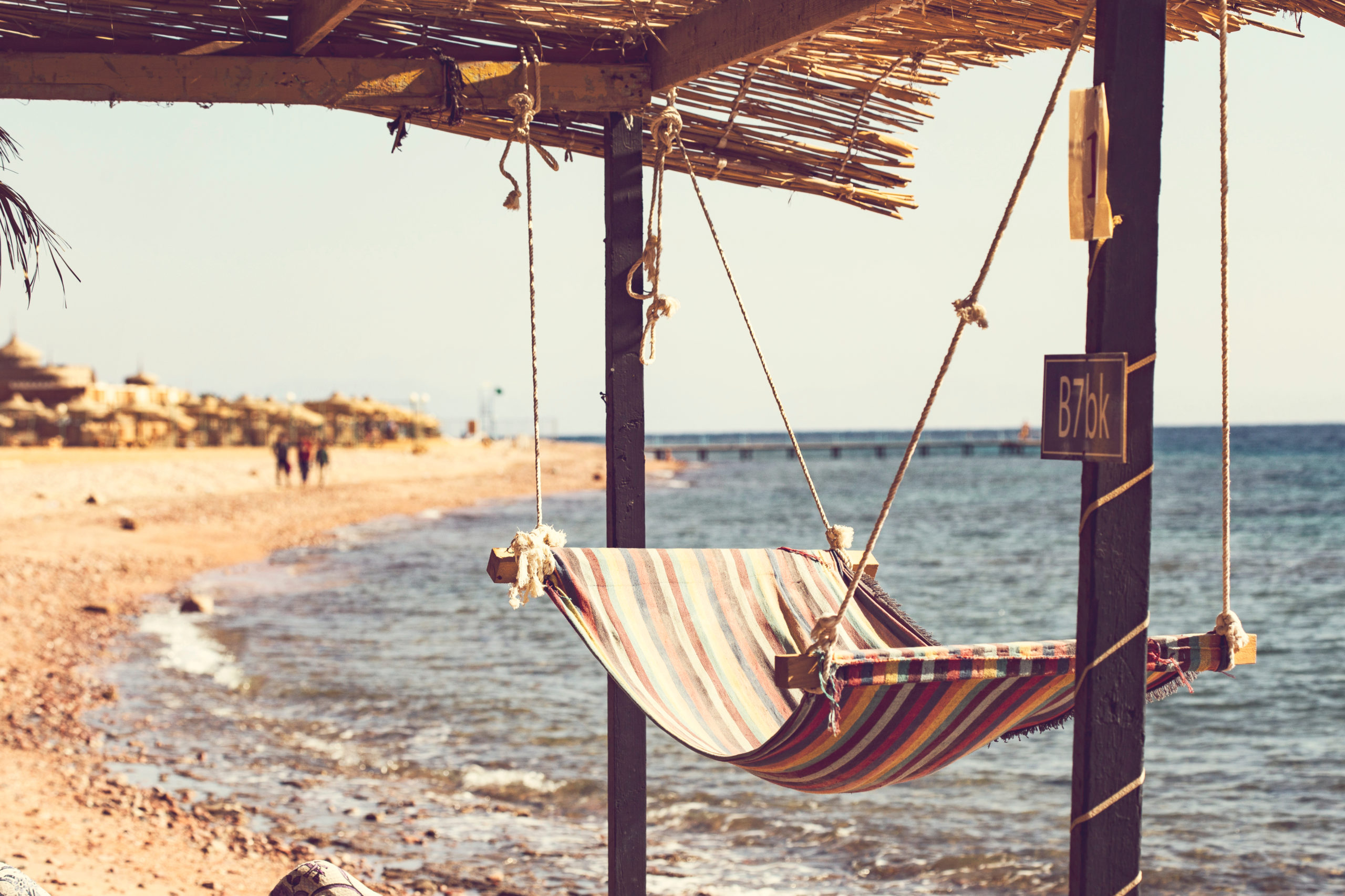 shutterstock 1869913219 scaled