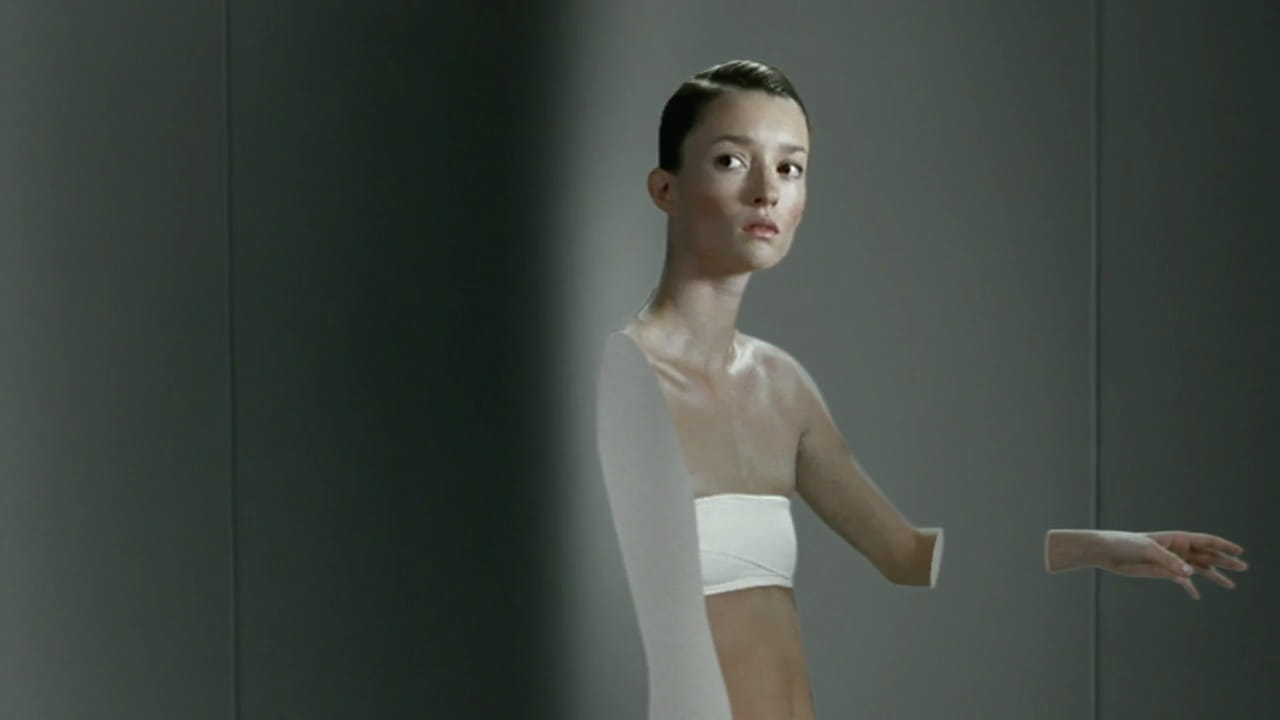 79528117 10221235368256691 6731683937317289984 n