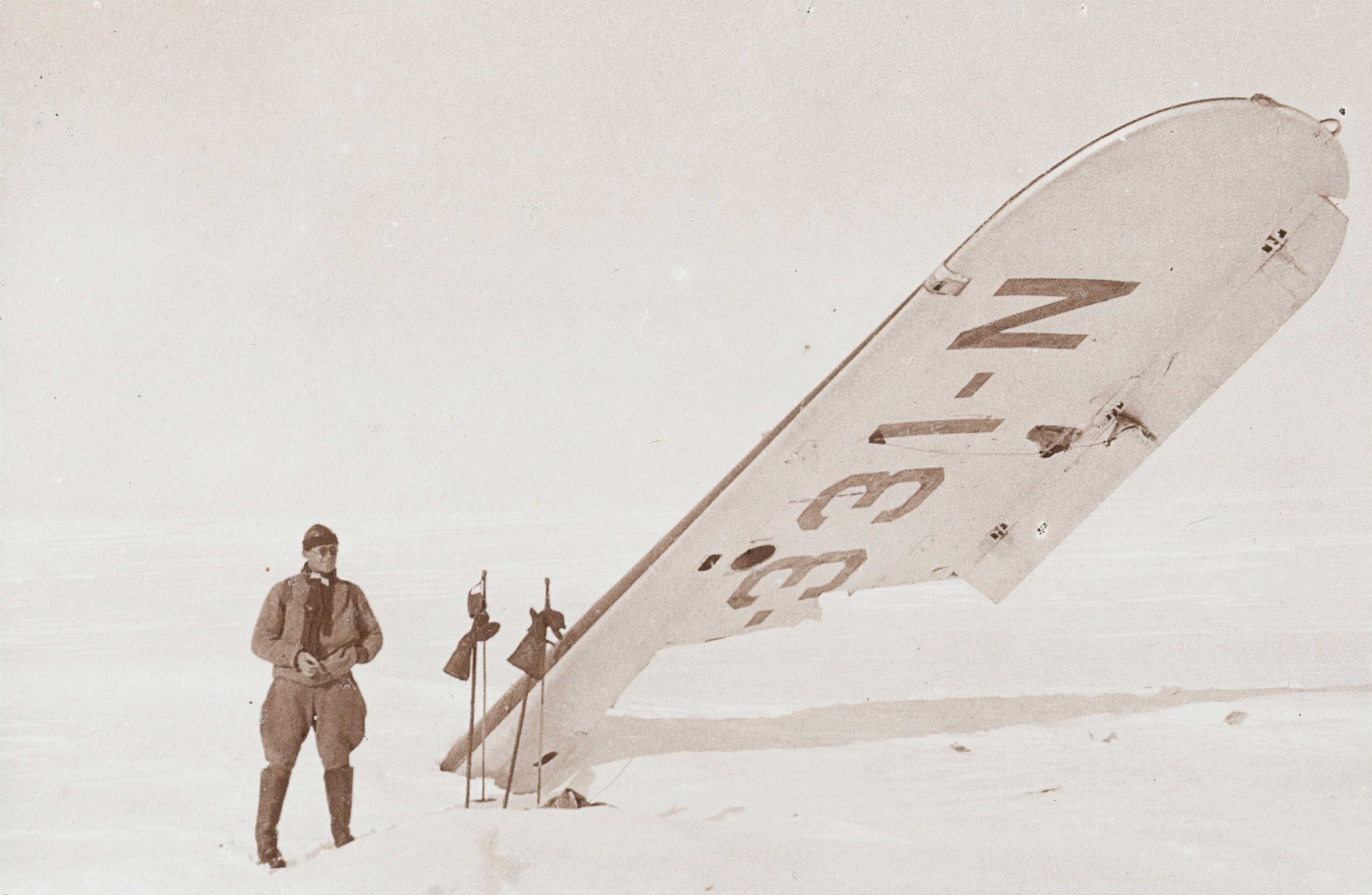 museums victoria 1Ad3qD6kRZU unsplash