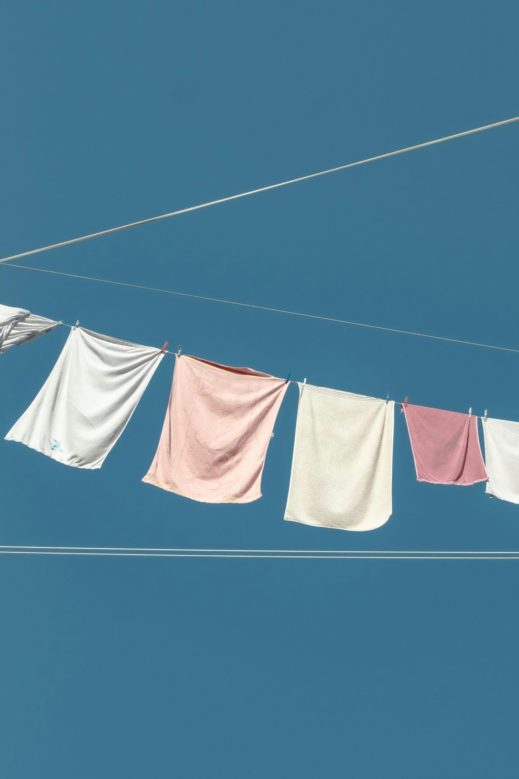 For the Love of Goat