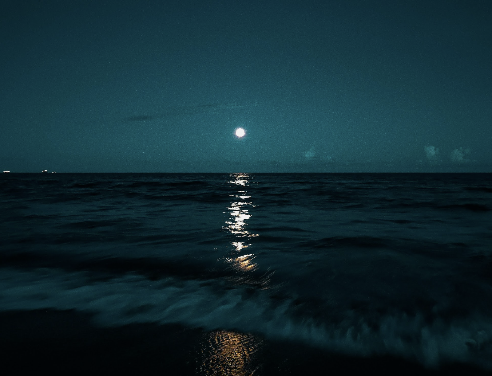 Aquarium’s Most Wanted